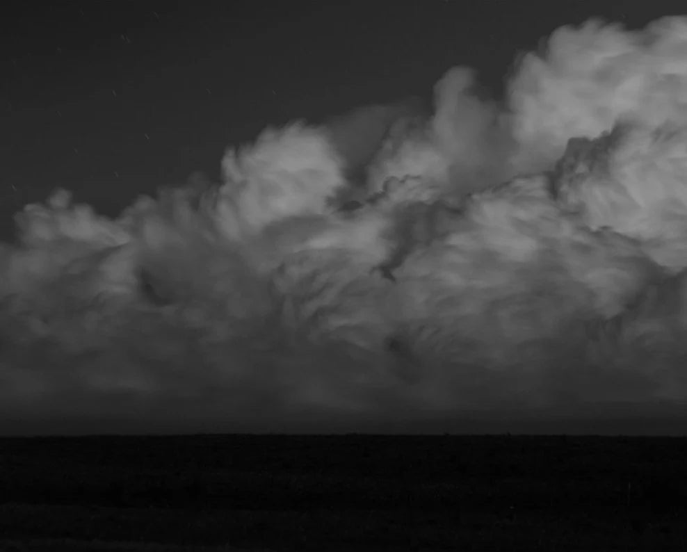 BRYAN SCHUTMAAT: SONS OF THE LIVING (1st edition, signed)