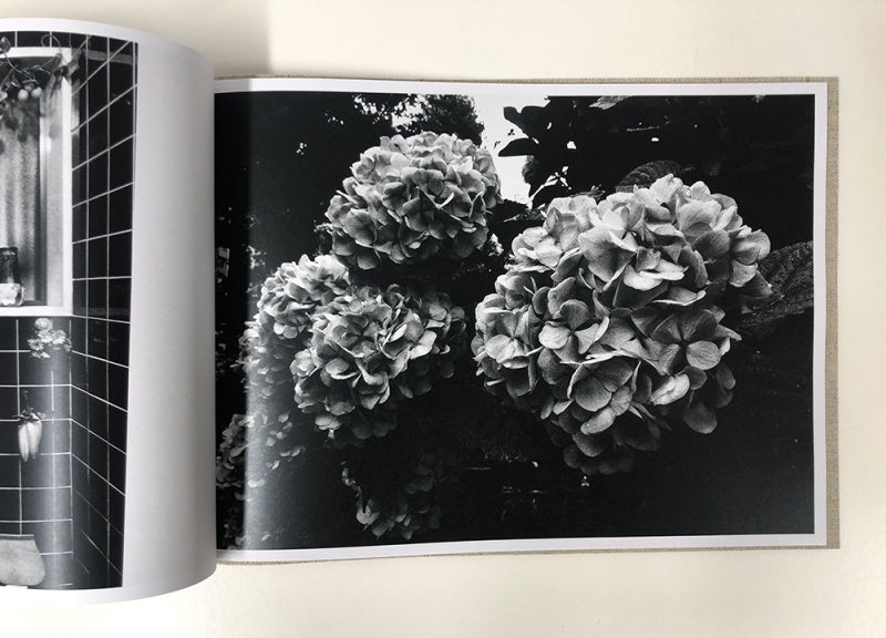 DAIDO MORIYAMA: FLOWERS (signed,numbered)