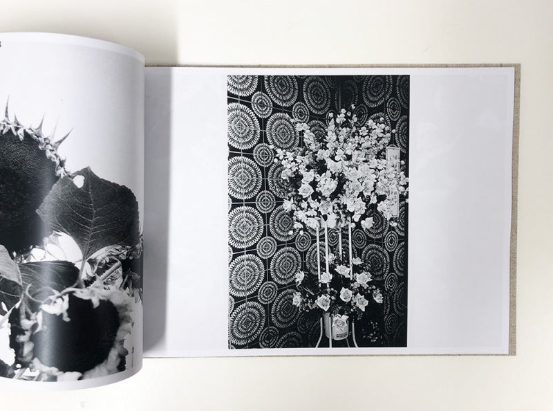 DAIDO MORIYAMA: FLOWERS (signed,numbered)