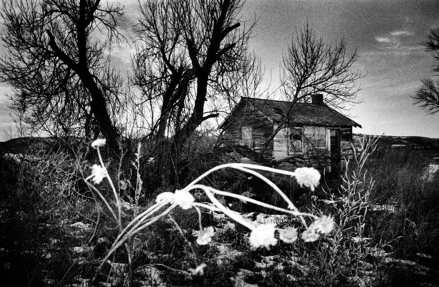 SIMON VANSTEENWINCKEL: AUX OMBRES