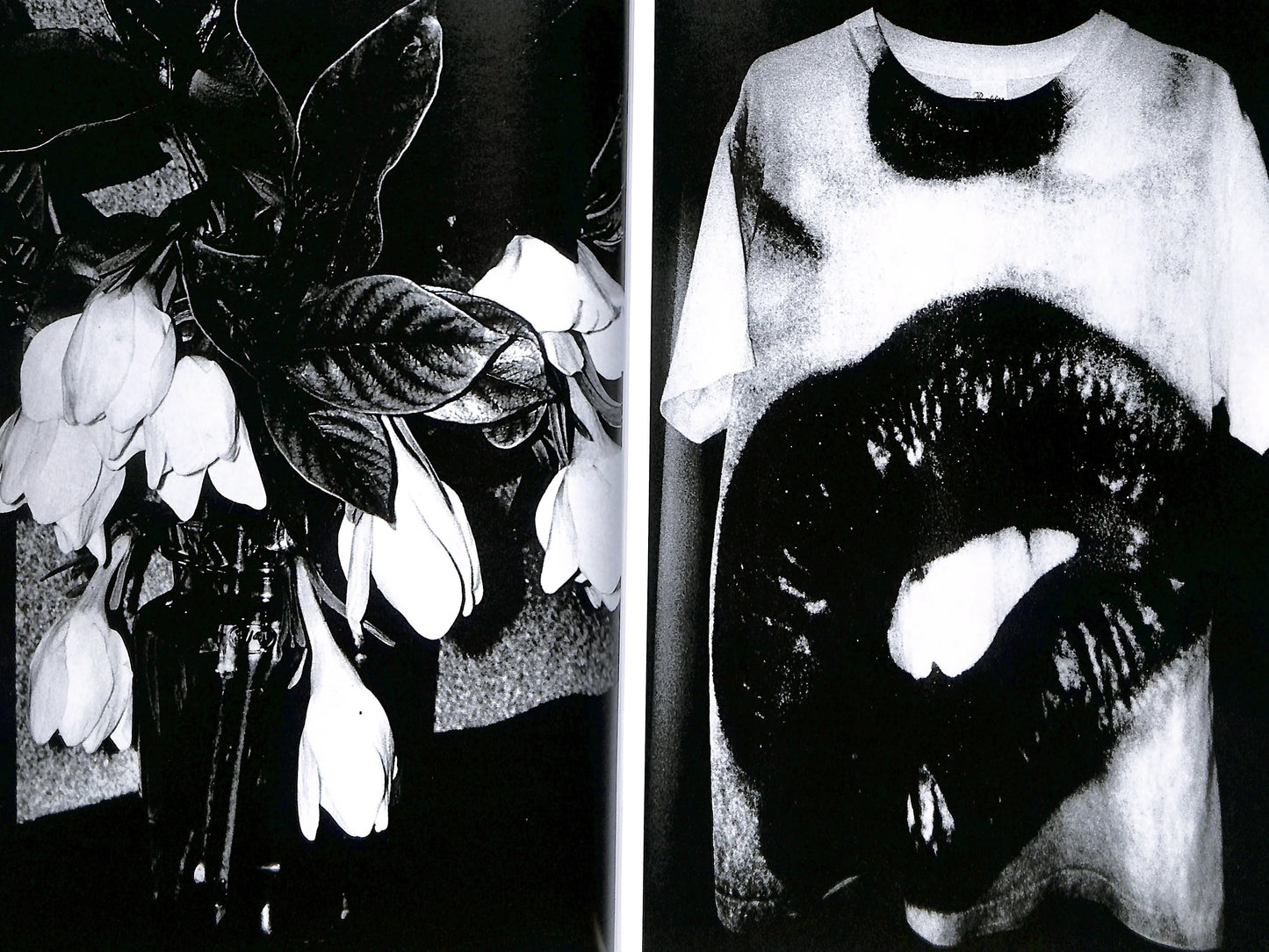 DAIDO MORIYAMA: SHINOBU (signed/numbered)
