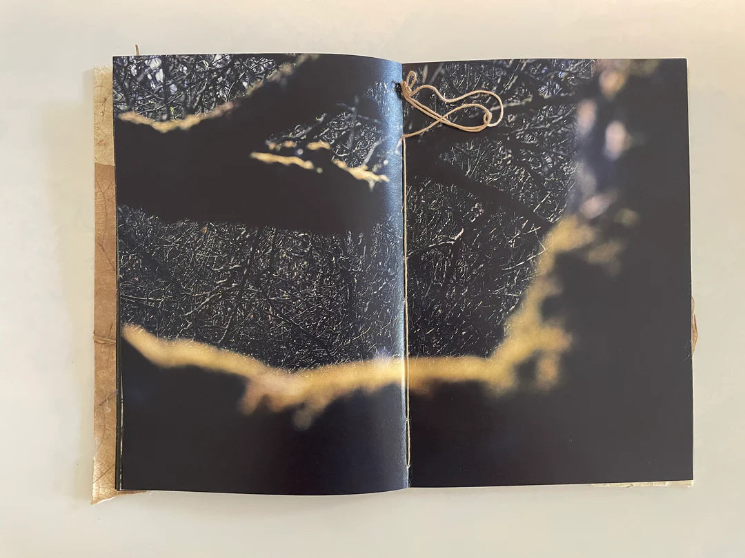 RUSLAN HRUSHCHAK: PATCHWORK GARDEN (signed/numbered)