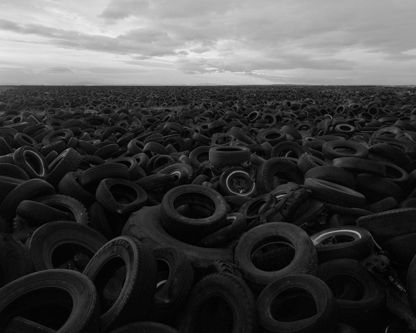 BRYAN SCHUTMAAT: SONS OF THE LIVING (second edition, softcover)