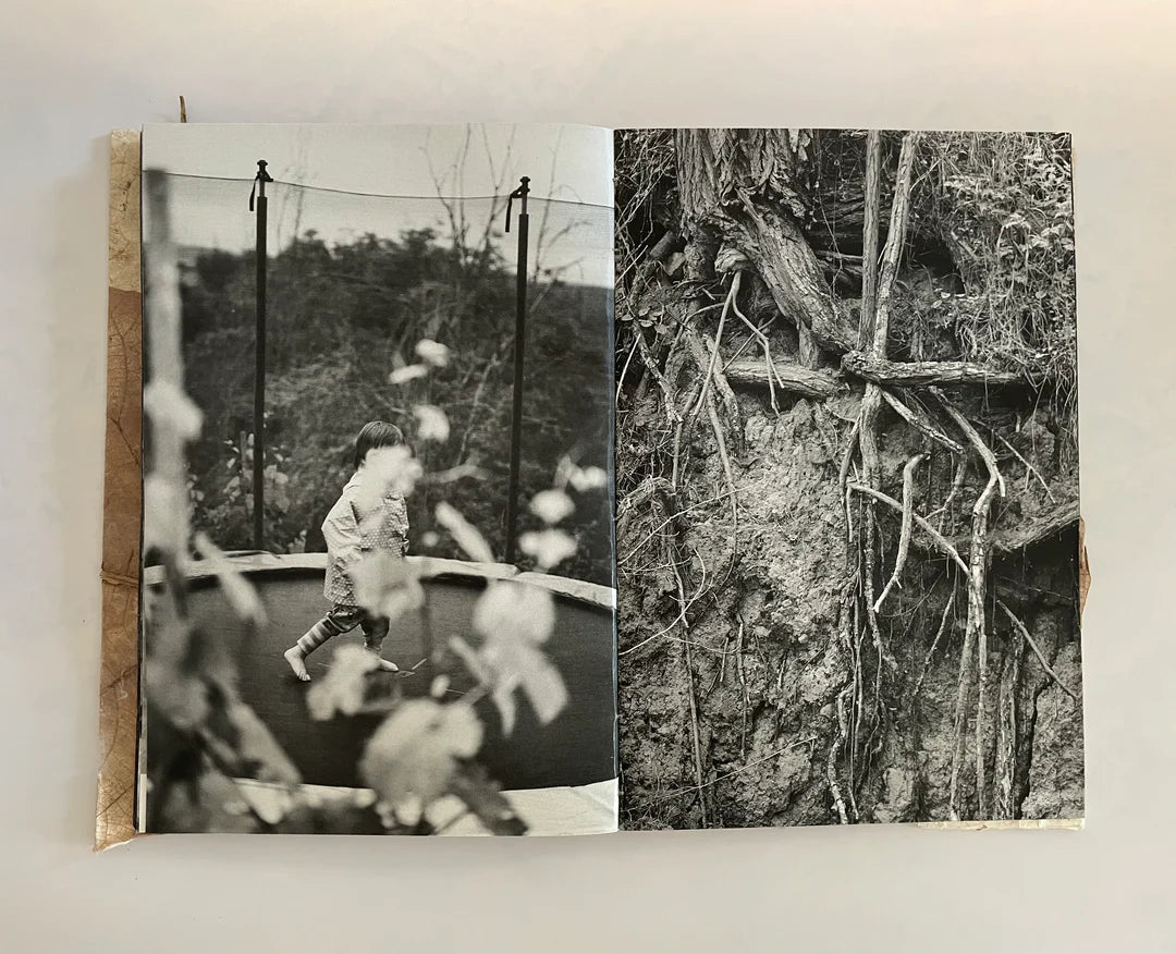 RUSLAN HRUSHCHAK: PATCHWORK GARDEN (signed/numbered)