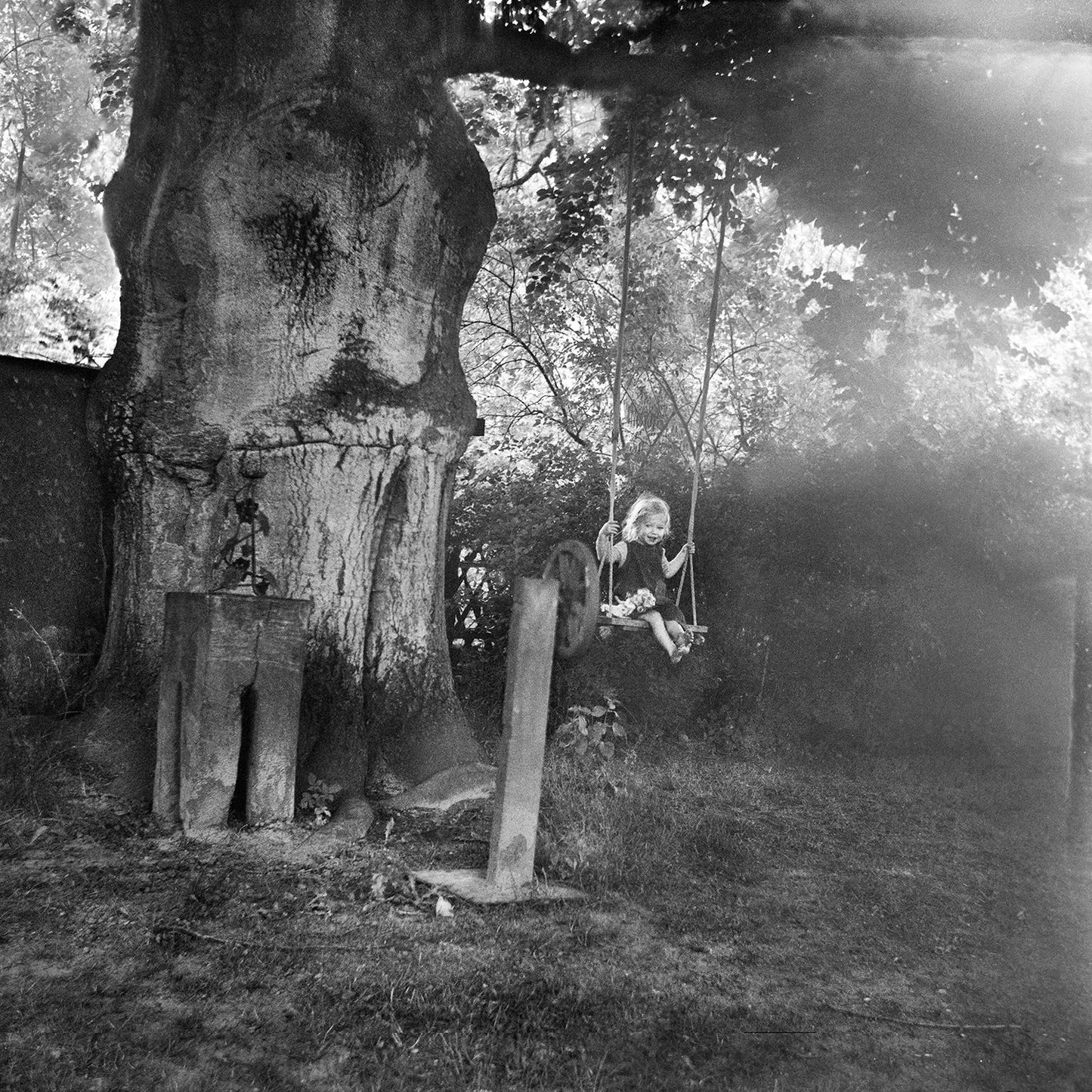 ANNA ARENDT: VANISHING (SIGNED)