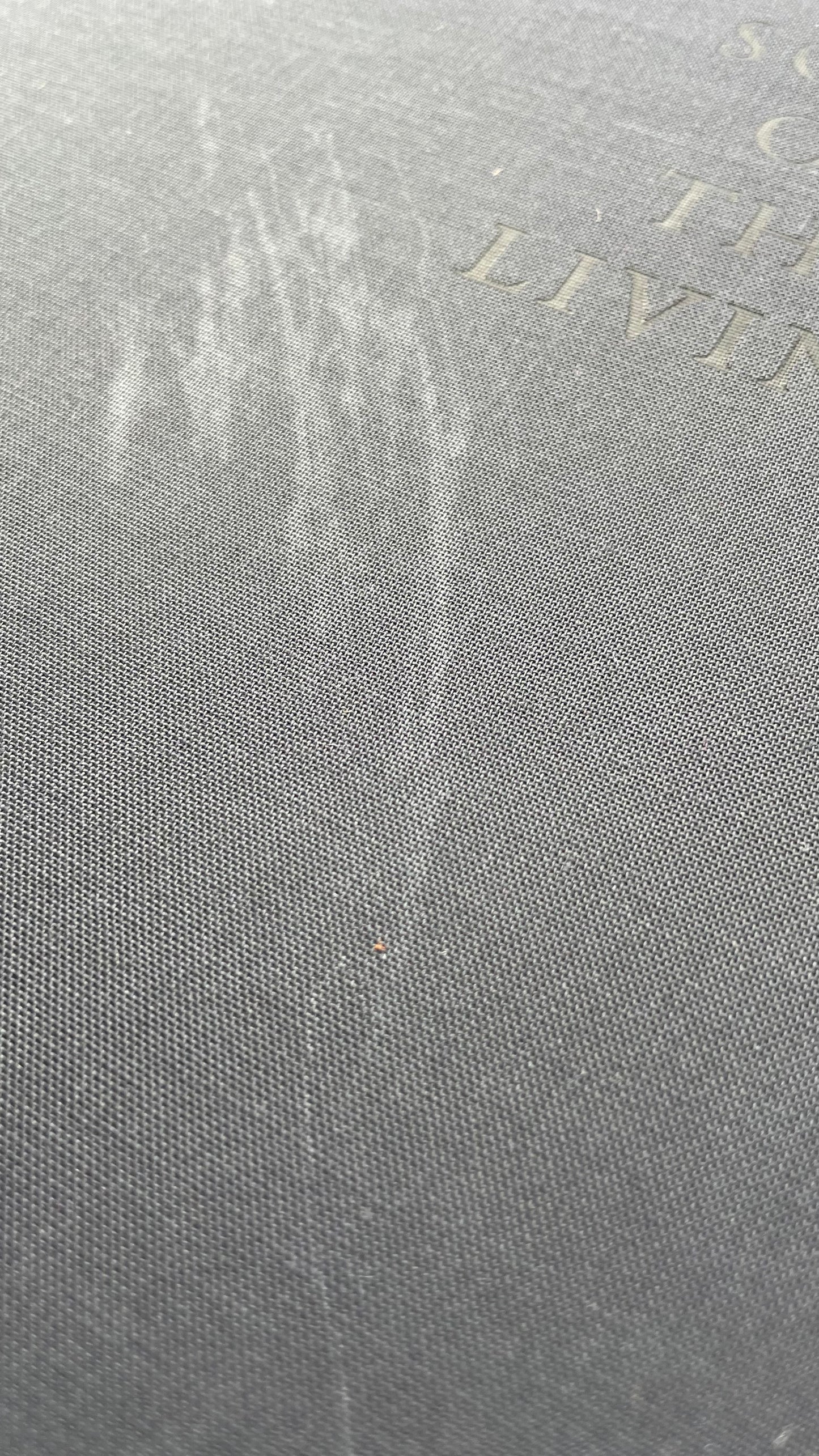 BRYAN SCHUTMAAT: SONS OF THE LIVING (1st edition, signed)