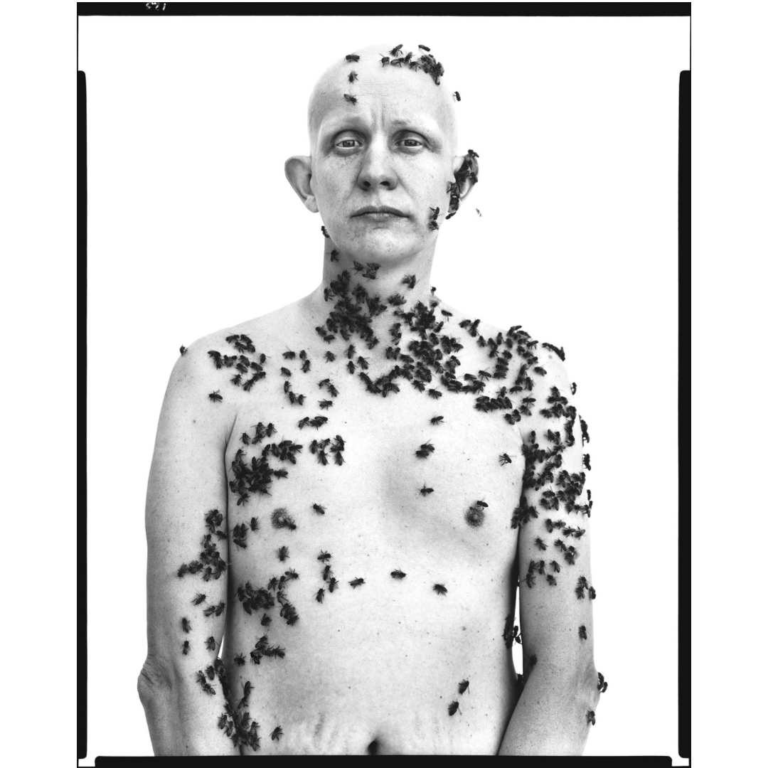 RICHARD AVEDON: IN THE AMERICAN WEST