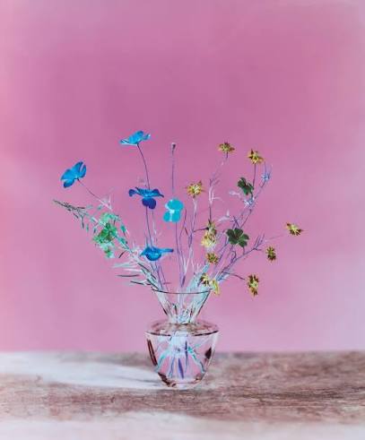 BRENDAN BARRY: FLOWERS FOR BEYA