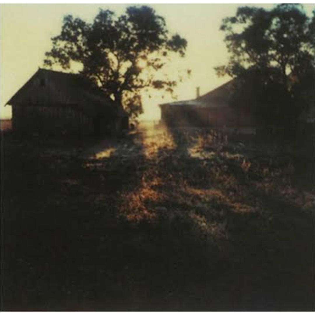 ANDREI TARKOVSKY: INSTANT LIGHT (polaroids by Andrei Tarkovsky)