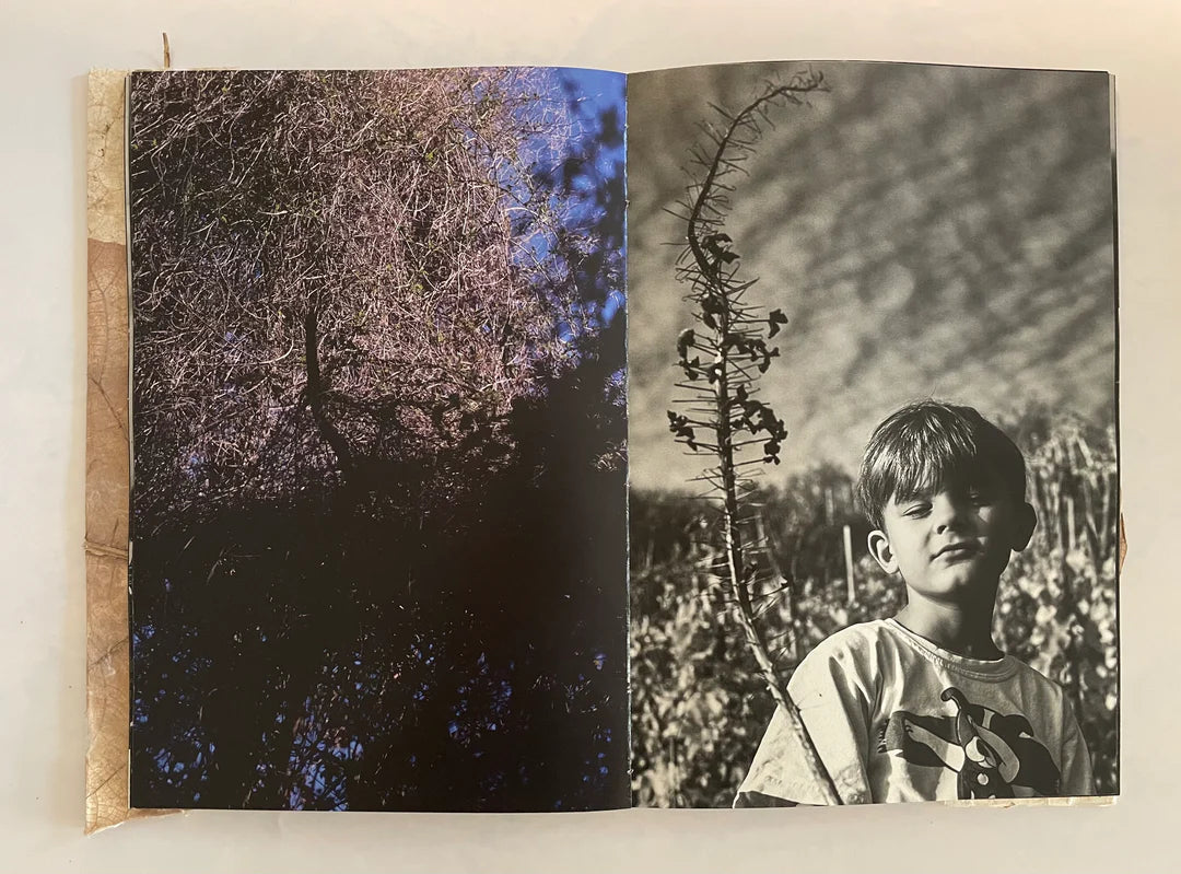 RUSLAN HRUSHCHAK: PATCHWORK GARDEN (signed/numbered)