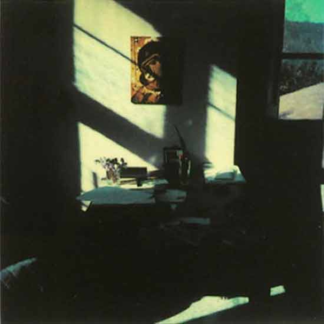 ANDREI TARKOVSKY: INSTANT LIGHT (polaroids by Andrei Tarkovsky)