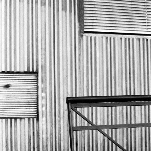 FEDERICO DRIGO: WHITE NOISE