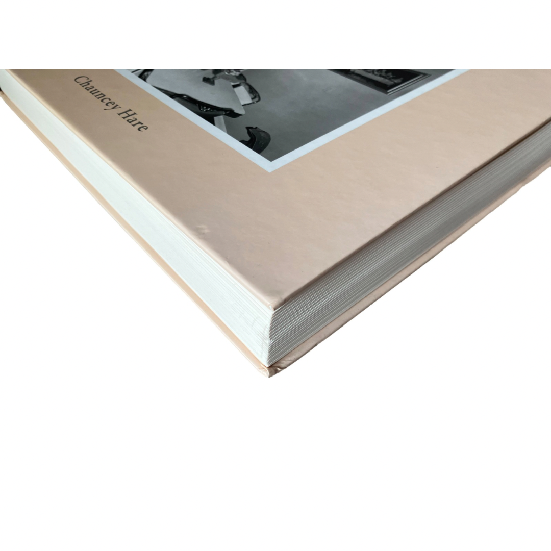 CHAUNCEY HARE: PROTEST PHOTOGRAPHS (preowend)