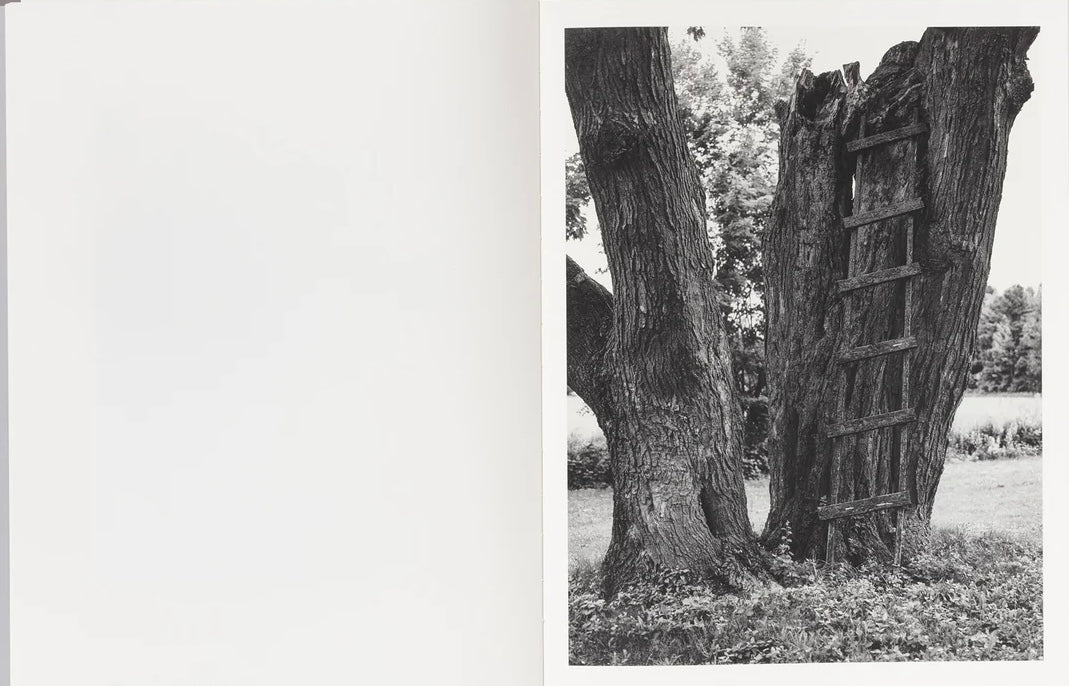 MAUDE ARSENAULT: RESURFACING