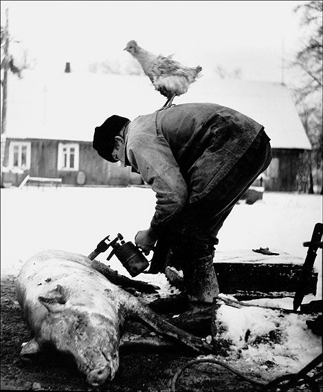 RIMALDAS VIKSRAITIS: GRIMACES OF THE WEARY VILLAGE (preowened)