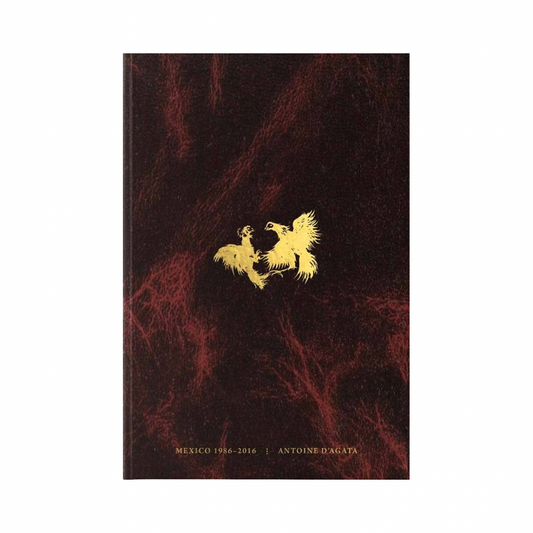 ANTOINE D´AGATA: CODEX. MÉXICO 1986-2016