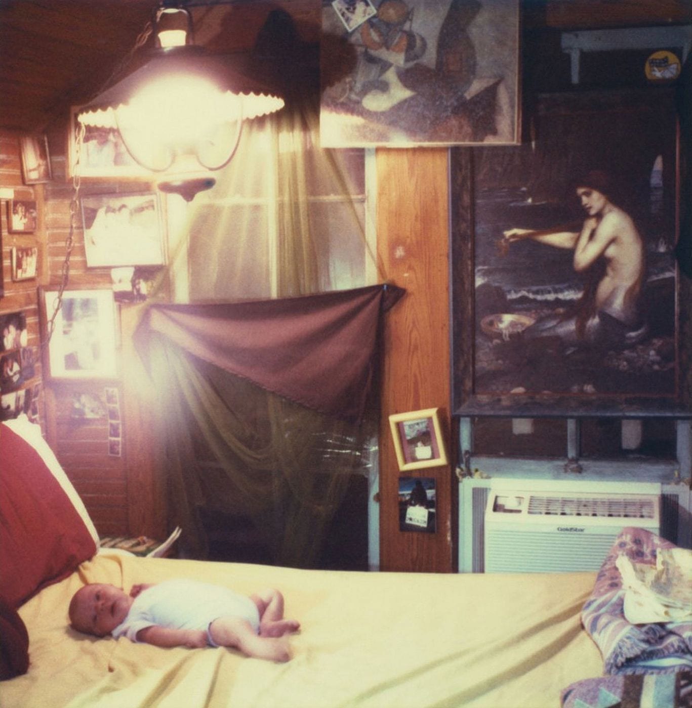 MIKE BRODIE: TIMES OF DIRT AND BONE