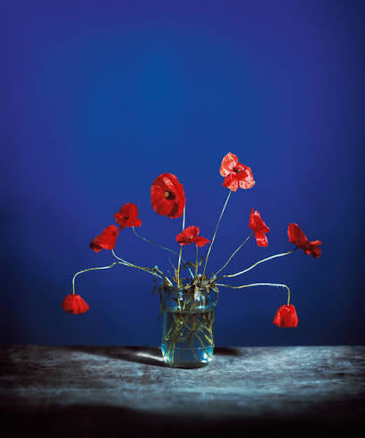 BRENDAN BARRY: FLOWERS FOR BEYA