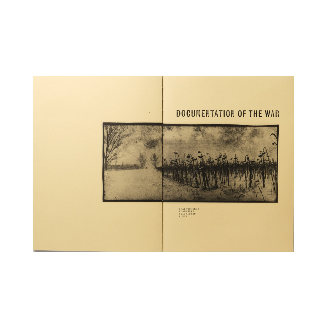 VLADYSLAV KRASNOSHCHOK: DOCUMENTATION OF THE WAR