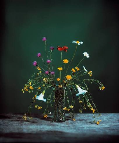 BRENDAN BARRY: FLOWERS FOR BEYA