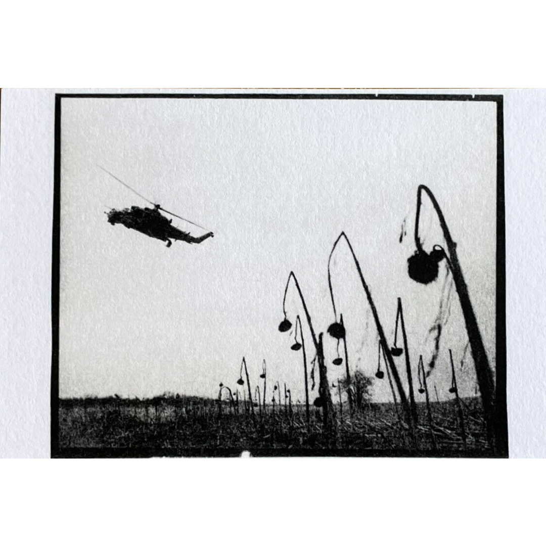 VLADYSLAV KRASNOSHCHOK: DOCUMENTATION OF WAR. SKYKEEPERS OVER BEEKEEPERS (SIGNED)