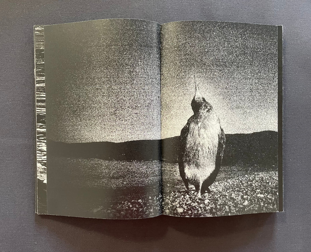 ILIAS GEORGIADIS: FORECAST (2nd edition, signed/numbered)