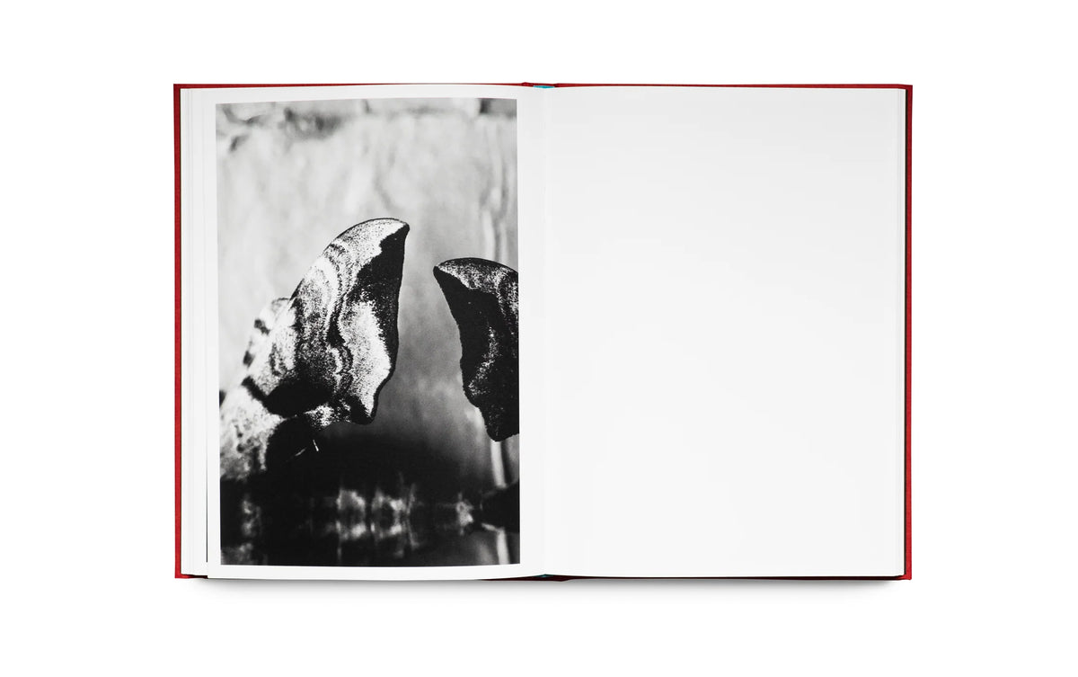 WILL GREEN: DEATH AND OTHER BELONGINGS