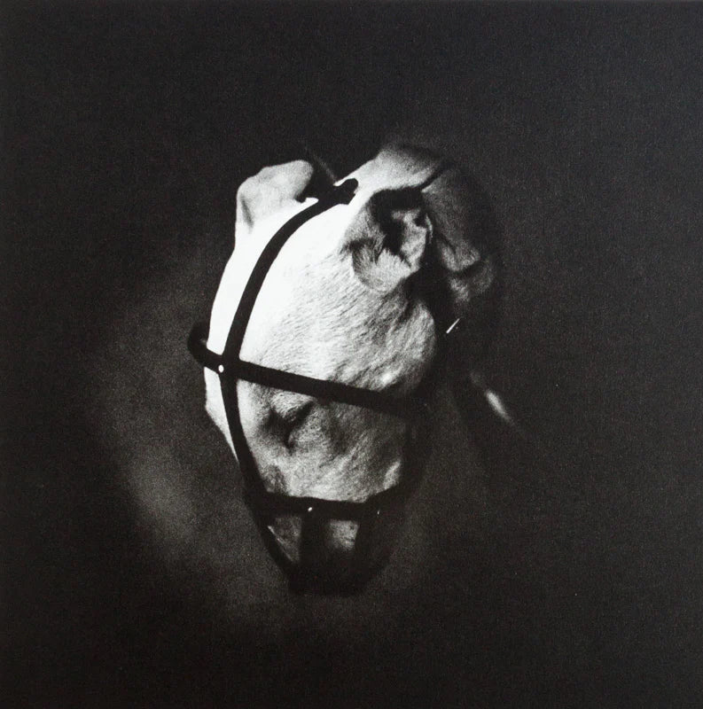 MATT MAHURIN: PHOTOGRAPHS (1988)