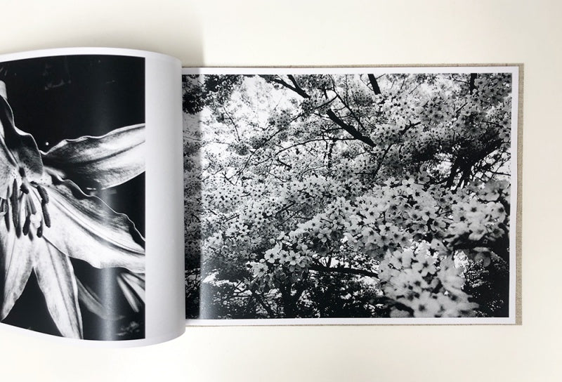 DAIDO MORIYAMA: FLOWERS (signed,numbered)