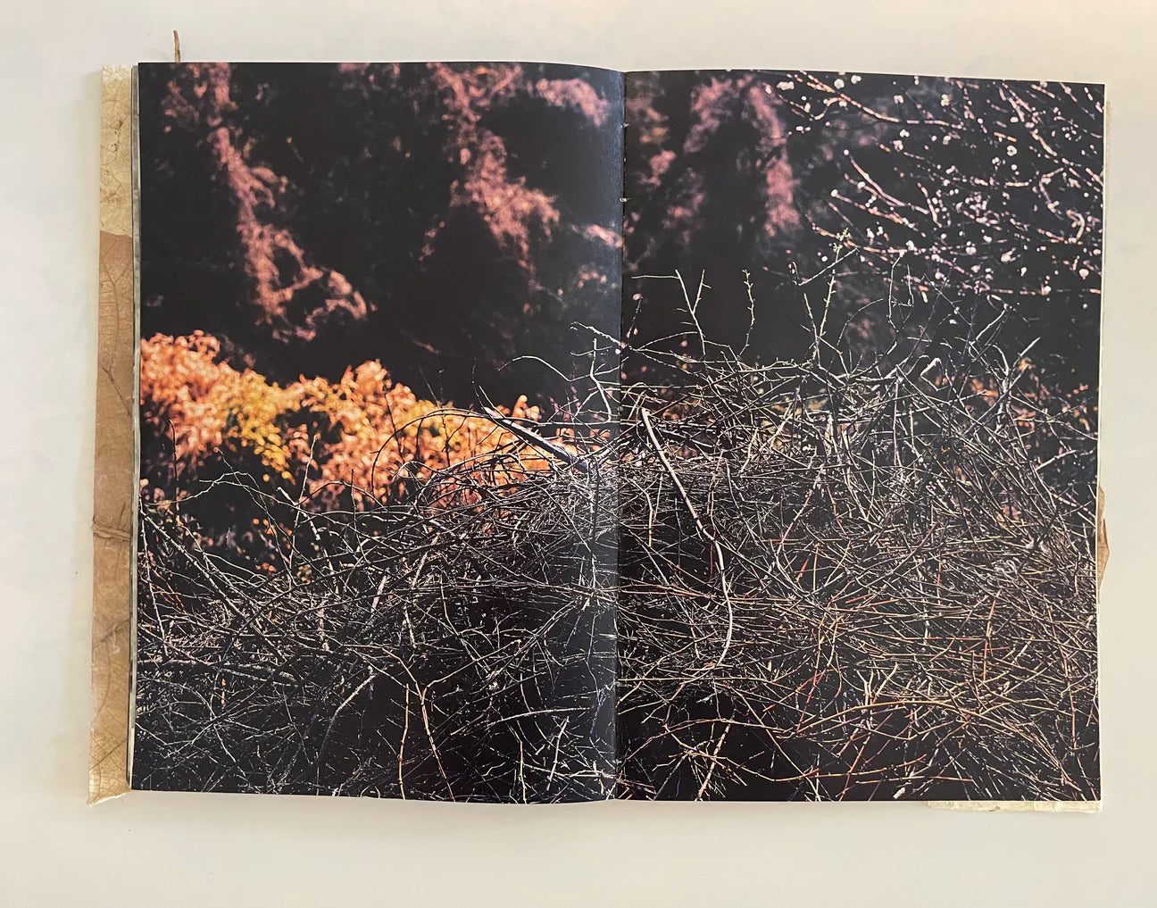 RUSLAN HRUSHCHAK: PATCHWORK GARDEN (signed/numbered)