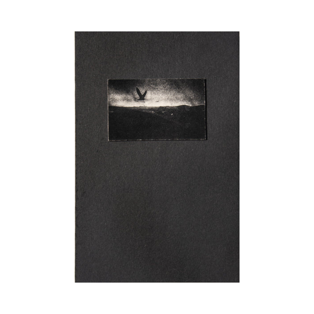 ILIAS GEORGIADIS: FORECAST (2nd edition, signed/numbered)