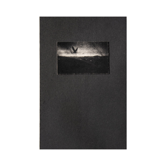 ILIAS GEORGIADIS: FORECAST (2nd edition, signed/numbered)