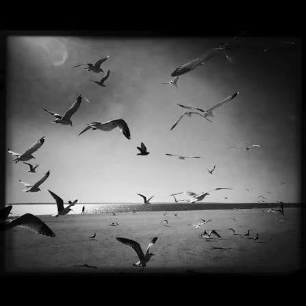 MARINA SERSALE: LIMINAL SPACE