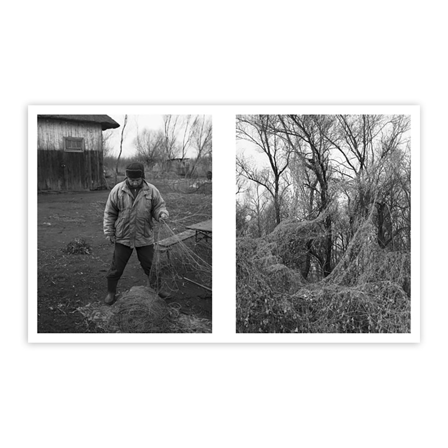 LJUBISA DANILOVIC: LA LUNE DE PAYNE