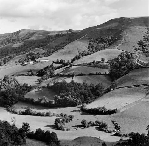 ANNE REARICK: GURE BAZTERRAK (OUR LAND)
