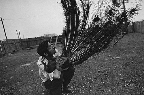 LJALJA KUZNETSOVA: SHAKING THE DUST OF AGES (Aperture)