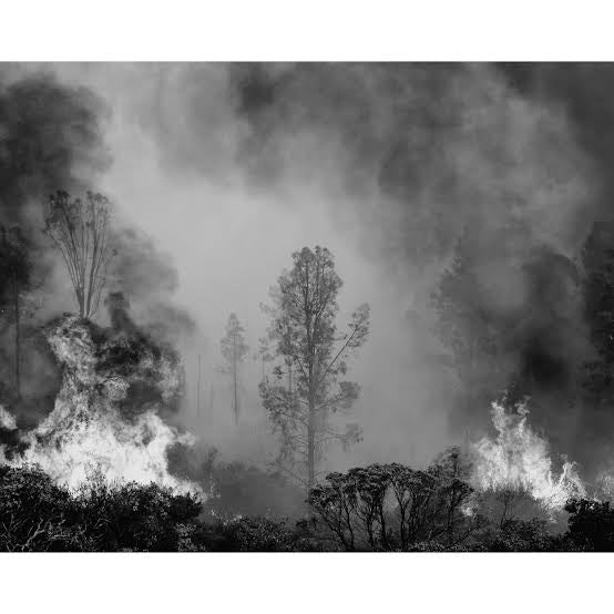 IAN BATES: THE WEIGHT OF ASH