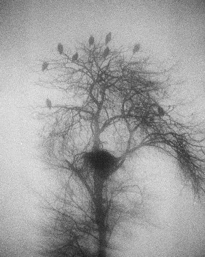 MARSHALL TO: BLANK NOTES (SIGNED)