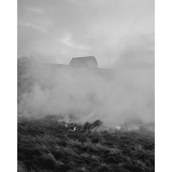 IAN BATES: THE WEIGHT OF ASH