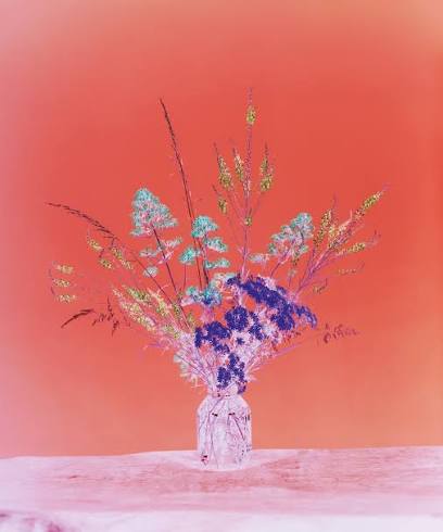 BRENDAN BARRY: FLOWERS FOR BEYA