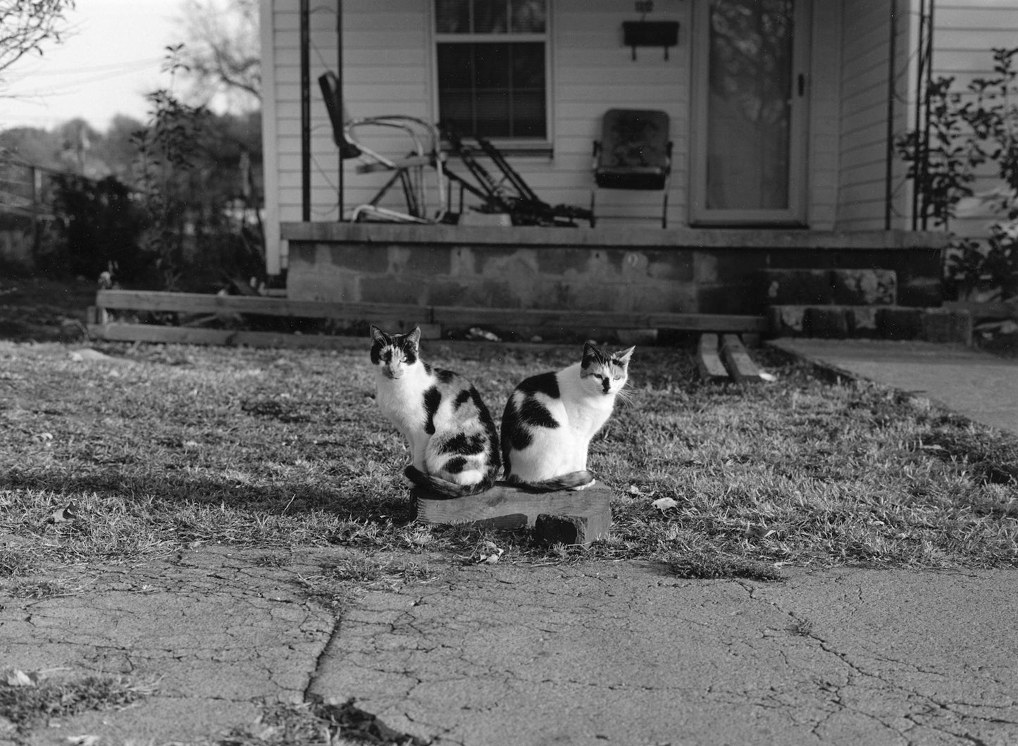 MARK STEINMETZ: SOUTH CENTRAL