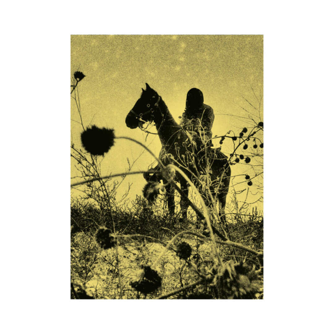 SIMON VANSTEENWINCKEL: AUX OMBRES