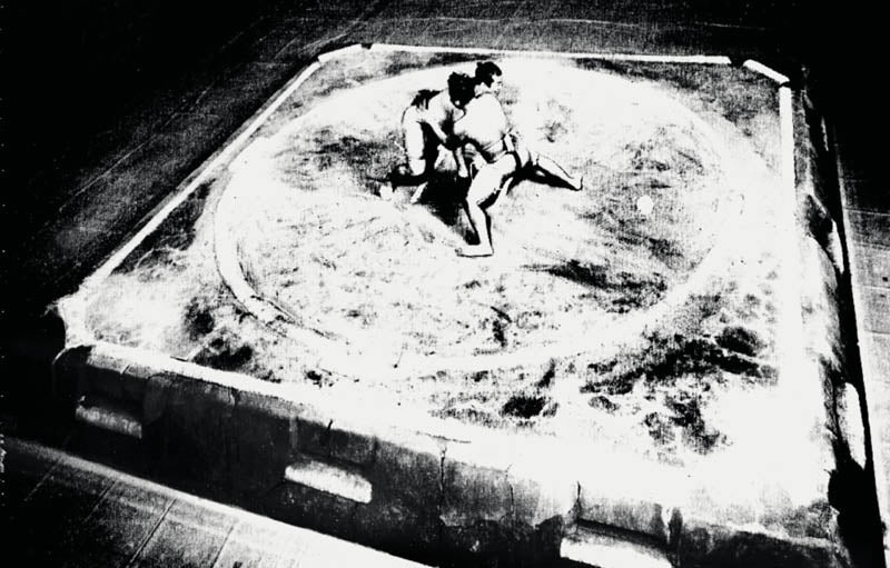 TOMASZ GUDZOWATY: SUMO