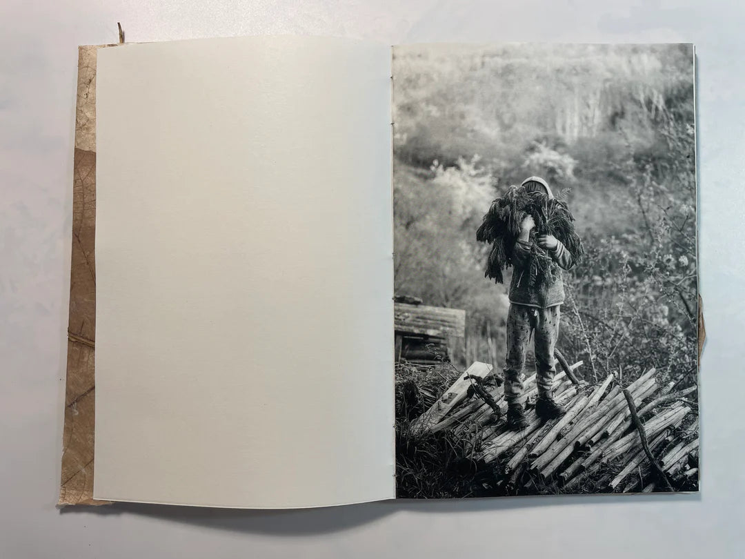 RUSLAN HRUSHCHAK: PATCHWORK GARDEN (signed/numbered)