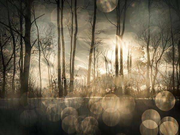 TODD HIDO: DISTANCIA INTIMA (SPANISH)