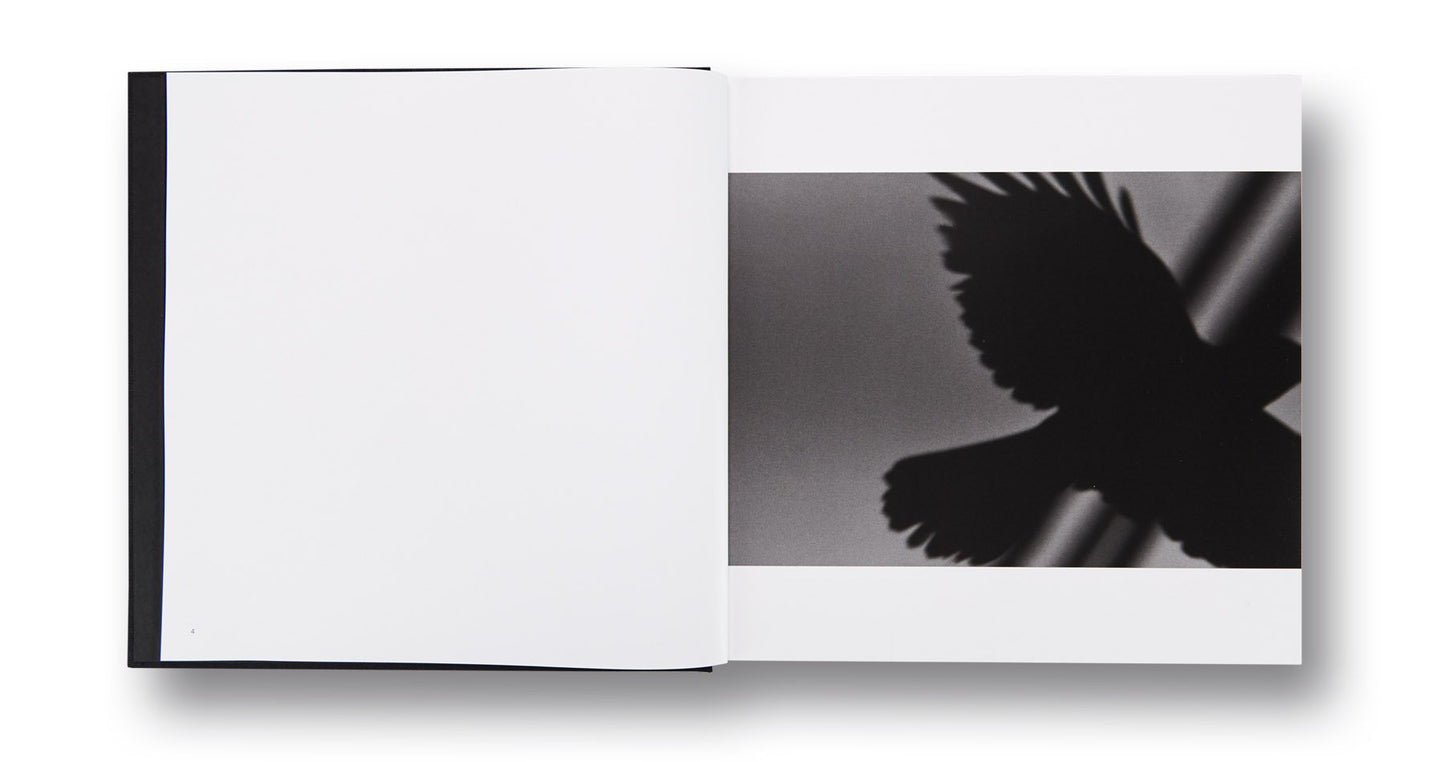 MASAHISA FUKASE: RAVENS
