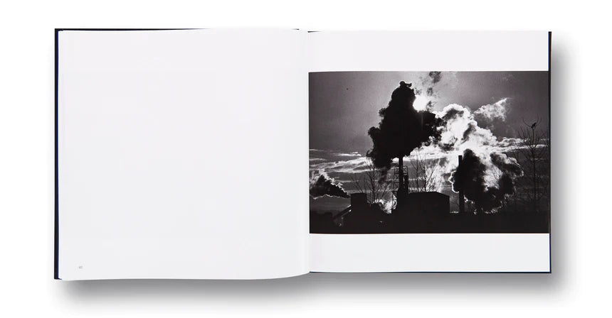 MASAHISA FUKASE: RAVENS