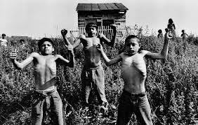 JOSEF KOUDELKA: CIKANI
