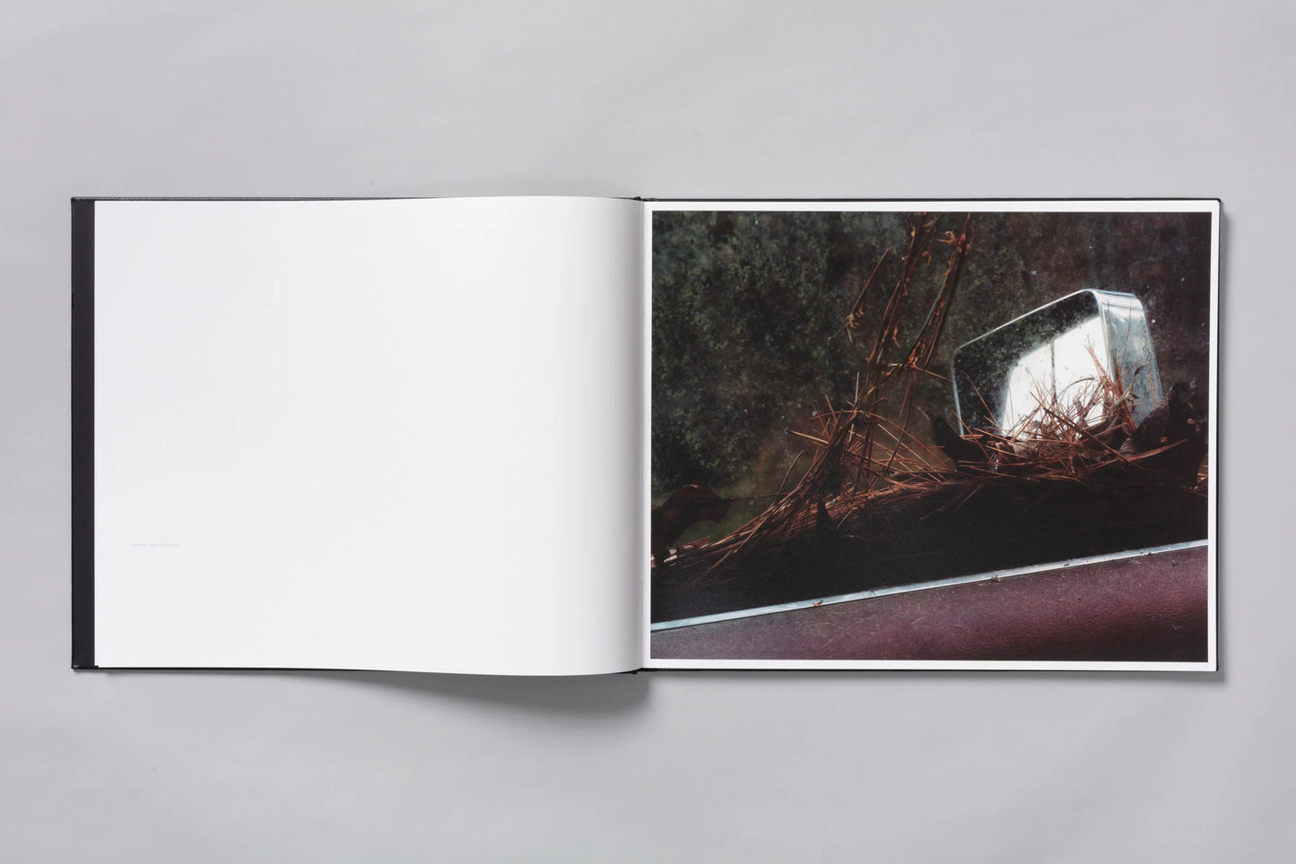 PHIL JUNG: WINDSCREEN