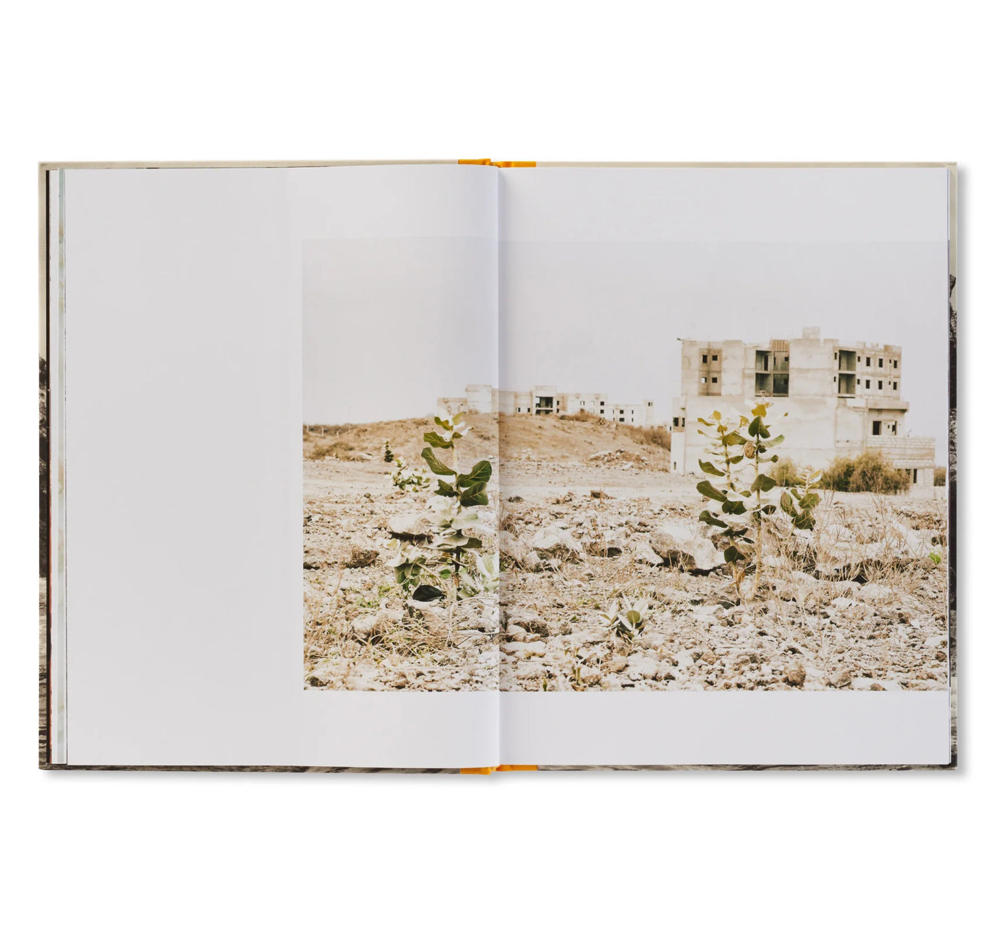 EMMANUELLE ANDRIANJAFY: NOTHING'S IN VAIN